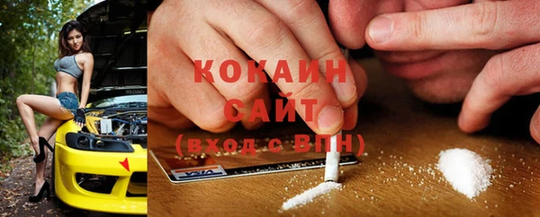 гидра Арсеньев